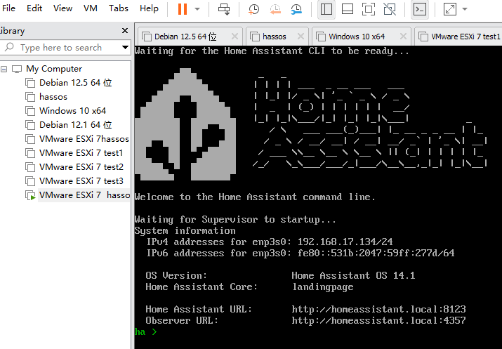 Hassos VMWare ESXi 7-3-run16.png